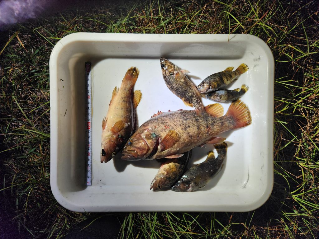 202511 事務局だより